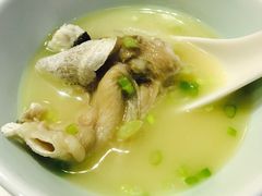 -天正河鲀·河豚亭(大连店)