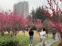 -上海市龙华烈士陵园