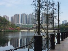 -重庆彩云湖湿地公园