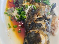 -金海湾海鲜排档(朱家尖店)