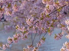 -上海辰山植物园