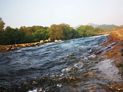 -九曲溪竹筏码头