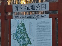 -东郊湿地公园