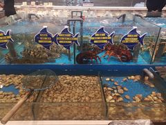 -海铺·渔家虾水饺(皇姑店)