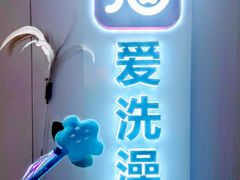 -爱洗澡的猫(望京店)