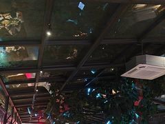 -海岛八号龙虾烧烤田鸡(蓝天路总店)