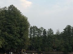 -东湖落雁景区