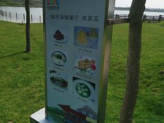 -东滩湿地公园观海楼餐厅
