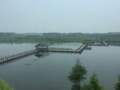 -溱湖国家湿地公园