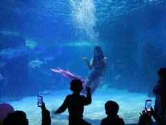 -常州海昌海洋探索馆