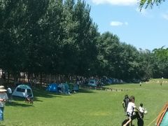 -长白岛森林公园