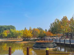 -大望京公园