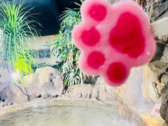 -郑州银基黄帝宫御温泉