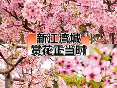 -新江湾城公园