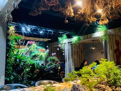 -森味薪火烧•烧鸟居酒屋•日本料理(望京店)
