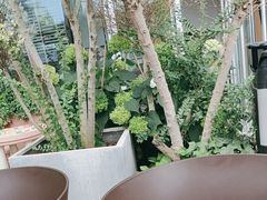 -La Terre乐田(万象城店)