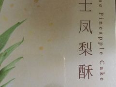 -蒲公英(五里店)