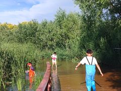 -绿堤公园
