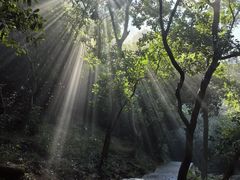 -火炉山森林公园