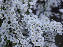 -共青国家森林公园-售票处