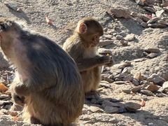 -石家庄市动物园