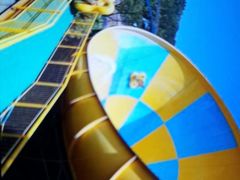 -重庆海昌加勒比海水世界