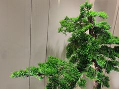 -大鹏饭店·金陵家宴(奥体中心店)