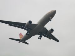 -空港花田景区