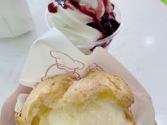 撒露-Salud撒露欧洲冻酸奶(五道口购物中心店)