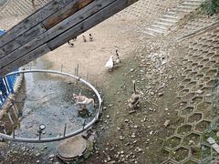 -北京鹿世界主题园