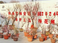 -陕西省西安植物园