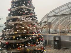 -Hi City·城市之巅