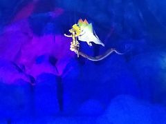 -横店影视城梦幻谷园区