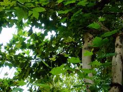 -常熟路(地铁站)