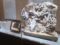 -抱璞文化展示中心