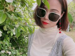 -鹅湖玫瑰文化园