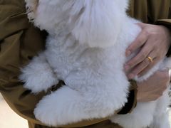 -萌兽医馆·宠物医院·猫骨科(创景店)