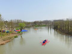 -上海长兴岛郊野公园