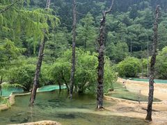 -黄龙山原始森林景区