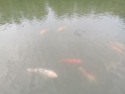-珍珠泉水上世界