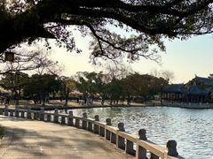 -江心屿景区