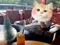 -半山半岛洲际度假酒店·观海廊