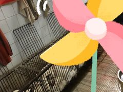 -温江公平红烧兔(总店)