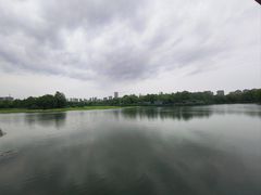 -洋湖国家湿地公园
