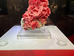 -湖南省地质博物馆