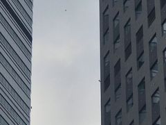 -小海豚国际游泳培训中心(浦东塘桥店)