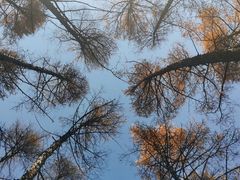 -白草畔自然风景区