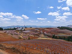 -红土地风景区