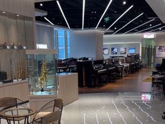 -知音艺术教育培训·钢琴培训·音乐培训(河西金鹰世界校区)