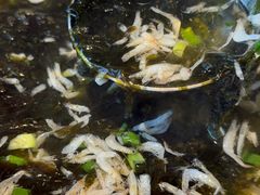 -金海湾海鲜排档(朱家尖店)